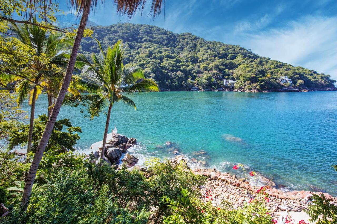 Villa Lala Boutique Hotel Adults Only Puerto Vallarta Kültér fotó